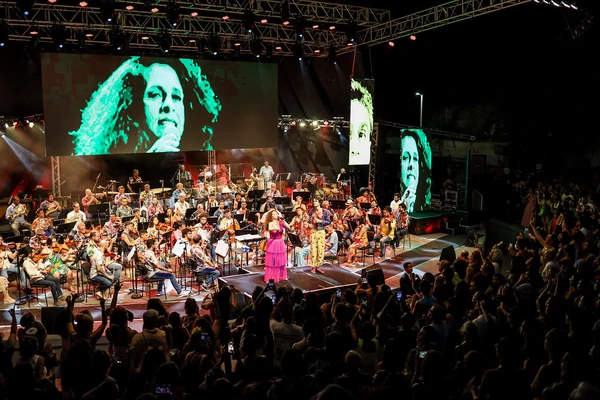 Concerto vai homenagear Gal Costa por Fernando Gomes