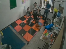 Imagem - Professora é filmada ao empurrar e puxar crianças pelo braço em creche