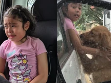 Imagem - 'Pai, abre a porta?': Menina chora por cadela de rua e vídeo tem final feliz