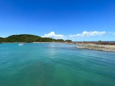 Imagem - Desenvolvimento sustentável: lições da Baía de Todos-os-Santos para a alta estação