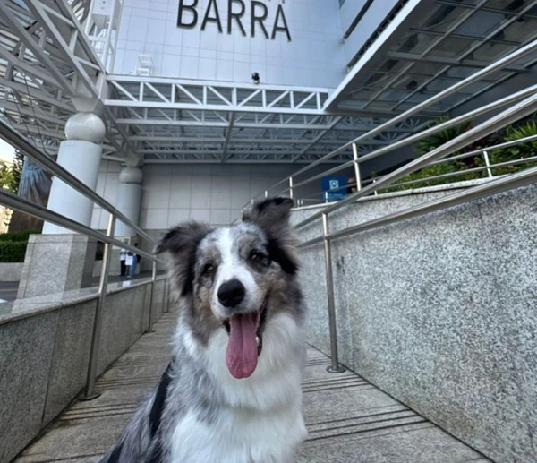 Shopping Barra recebe posto da campanha neste fim de semana 