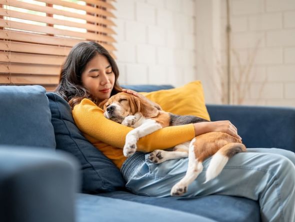 Imagem - Conheça 10 nomes para cachorros tranquilos
