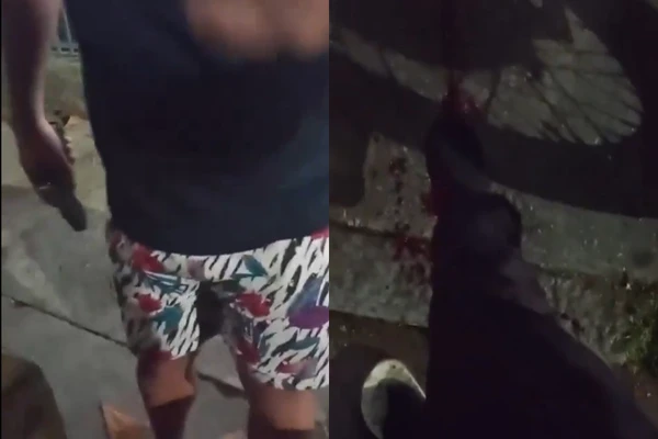 Entregador foi baleado no pé