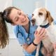 Imagem - Veja as causas e os sintomas da hipertrigliceridemia em animais