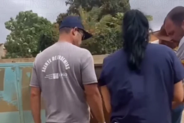 Profissionais fizeram resgate de animais 