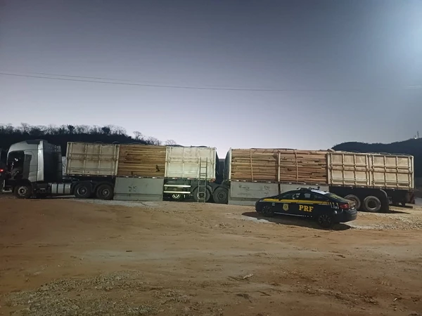 Vender, ter em depósito, transportar ou guardar madeira sem licença válida prevê pena de seis meses a um ano de detenção,e multa por Divulgação PRF