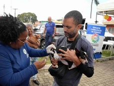 Imagem - Salvador oferece vacinação gratuita contra raiva em 91 postos de saúde