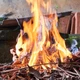Imagem - Posso queimar folhas e galhos no quintal ou vou ser preso por isso?