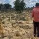 Imagem - Pequenos agricultores denunciam perdas de até R$ 8 mil após uso de agrotóxicos em drones