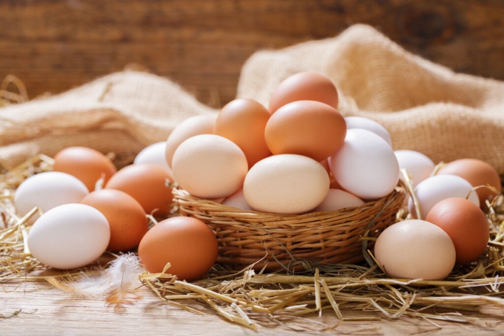 O consumo equilibrado de ovo tem pouco impacto sobre o colesterol ruim (Imagem: Nitr | Shutterstock)