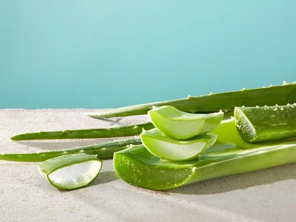 Imagem - Planta poderosa: saiba 5 benefícios da aloe vera para a pele