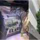 Imagem - Polícia descobre estufas de maconha dentro de apartamento no Rio Vermelho e prende morador