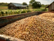 Imagem - Espanha supera EUA e se torna segundo destino do agro baiano em meio ao tarifaço