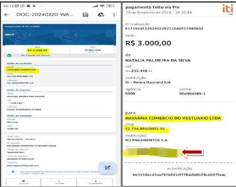 Hayanna usa empresa para "lavar" milhões do CV  por Reprodução