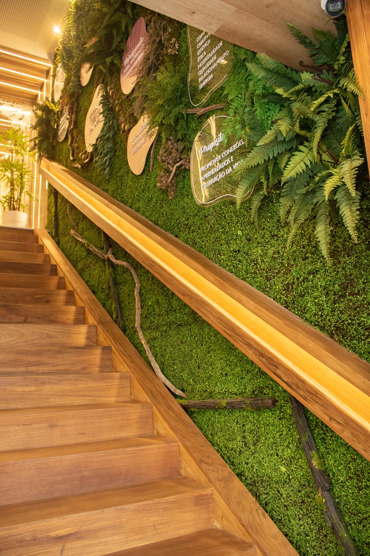 Natureza em harmonia com o design |  por Divulgação