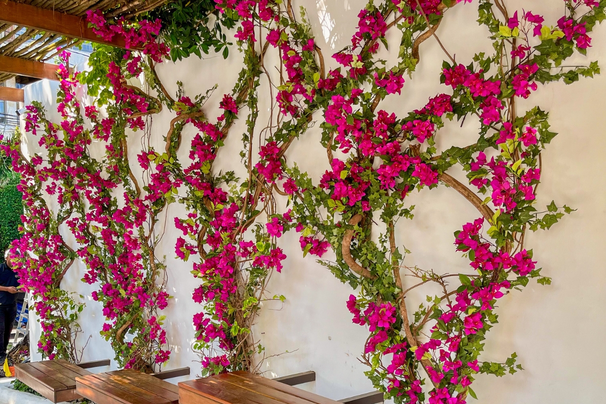 Parede transformada em experiência viva | por Divulgação