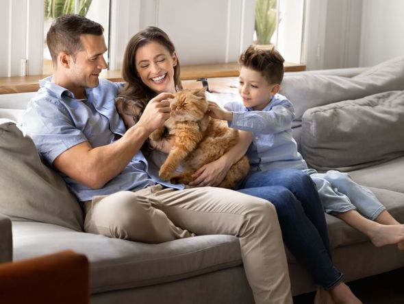 Imagem - Nome para gatos carinhosos: veja 12 ideias perfeitas para se inspirar