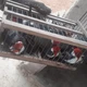 Imagem - Passarinho por R$ 80 mil: preso na Bahia um dos maiores traficantes de aves silvestres do país