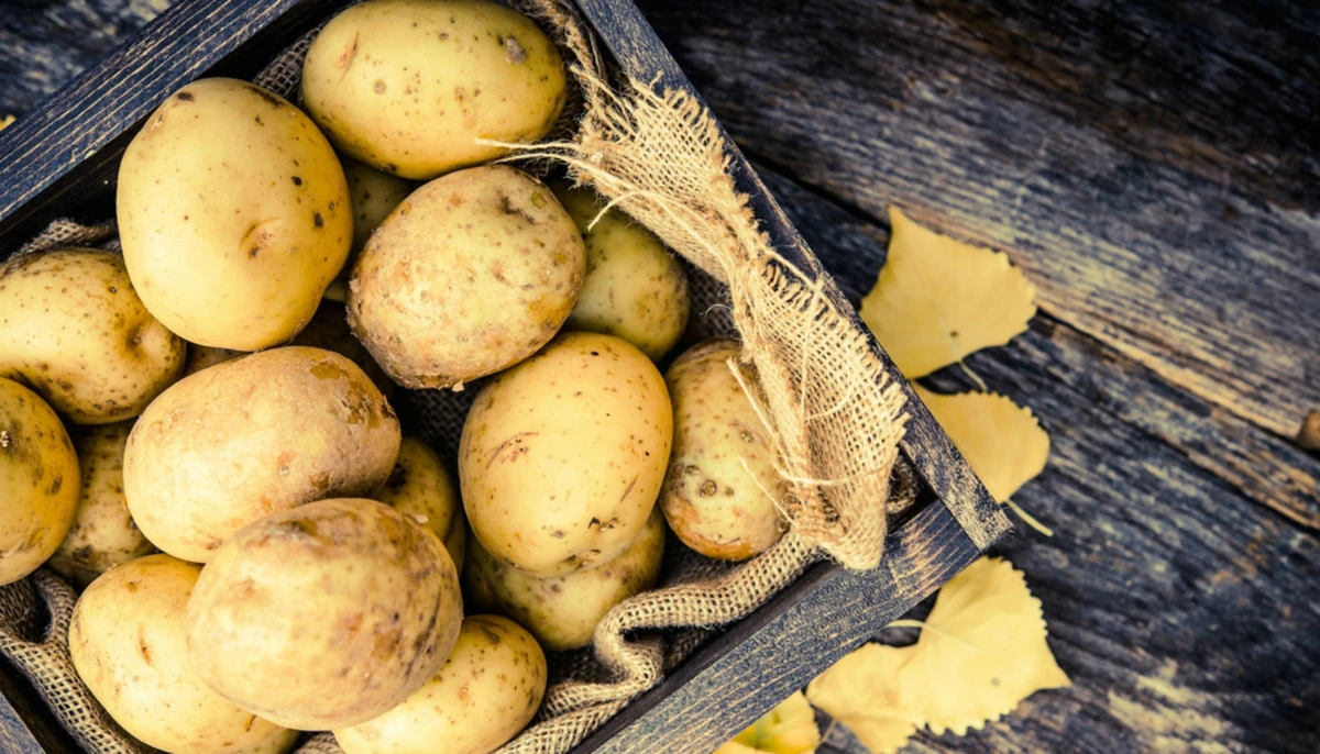 Batata é um alimento versátil e delicioso por Shutterstock