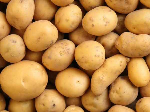 Batata é um alimento versátil e delicioso por Shutterstock