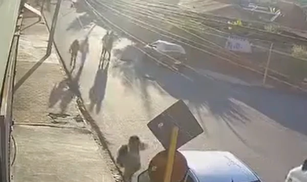 Motorista confrontou suspeito na rua por Reprodução