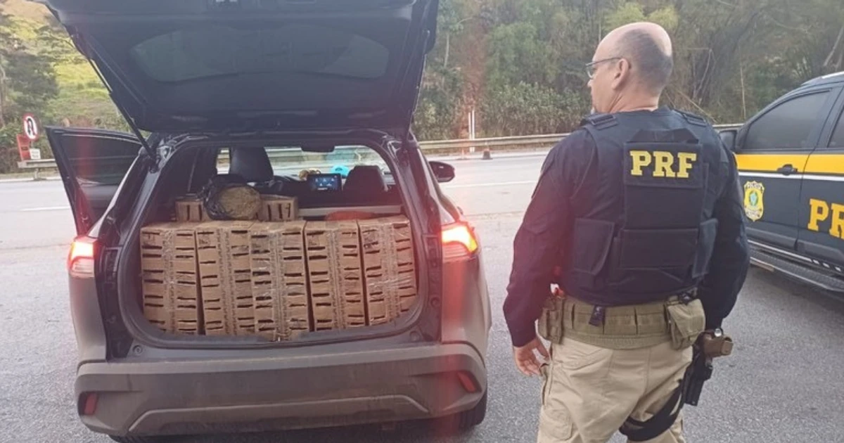 Imagem - Mais de 250 aves silvestres são resgatadas de comércio ilegal
