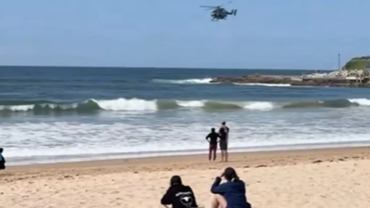 Imagem - Surfista morre após ataque de tubarão; prancha ficou partida