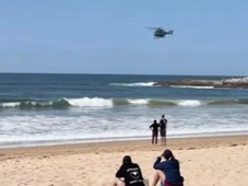 Imagem - Surfista morre após ataque de tubarão; prancha ficou partida