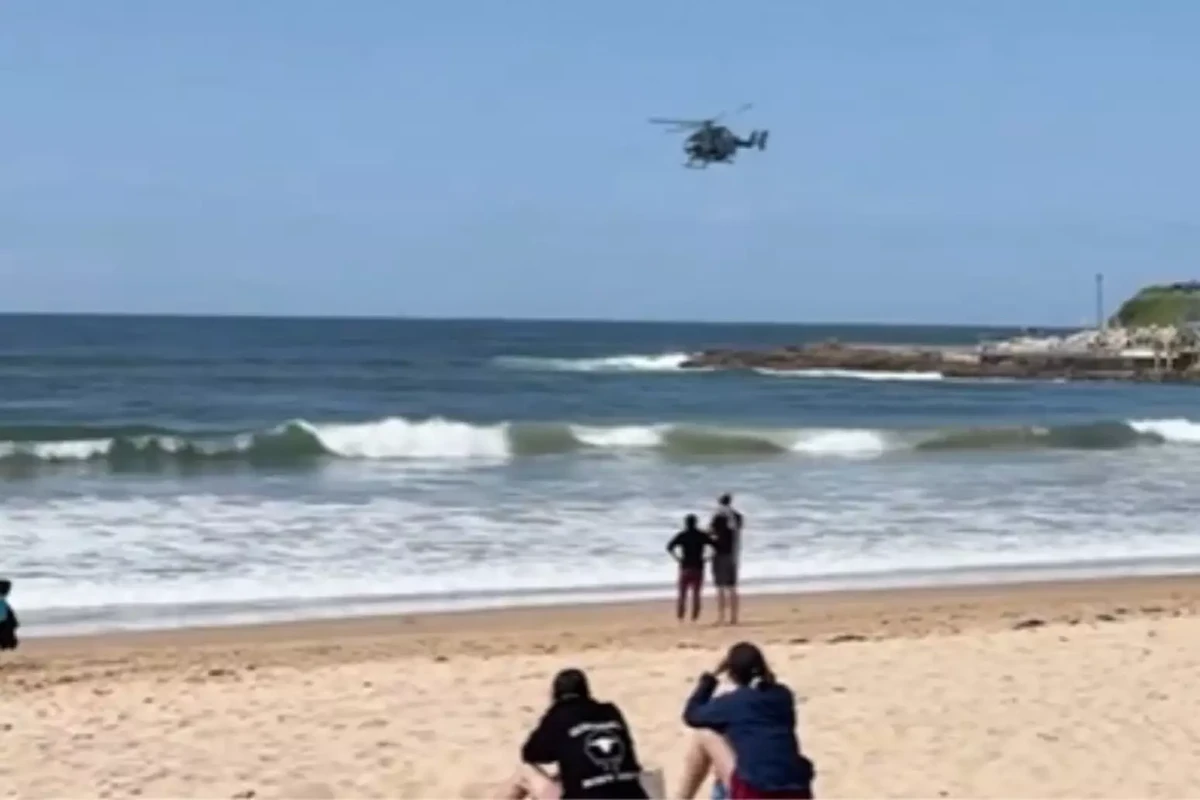 Surfista morre após ataque de tubarão; prancha ficou partida