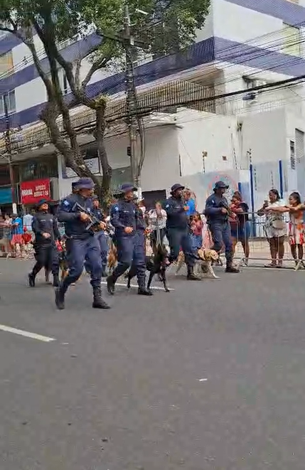 Desfile do 7 de Setembro em Salvador por Maria Raquel Brito