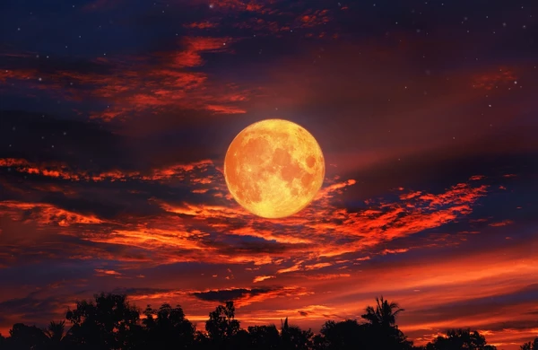 Lua de Sangue por Shutterstock