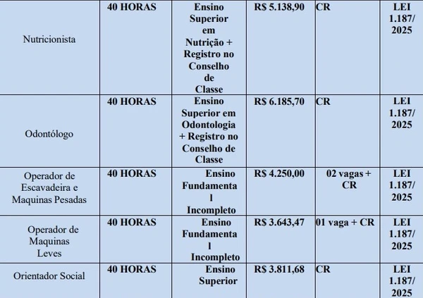 Quadro de vagas, cargos, horários e salários do concurso da Prefeitura de Nova Santa Helena por Reprodução/Edital