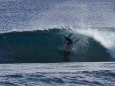 Imagem - 'Não me morda': surfista morto por tubarão teria gritado desesperado antes de ataque