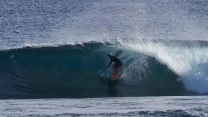 Imagem - 'Não me morda': surfista morto por tubarão teria gritado desesperado antes de ataque