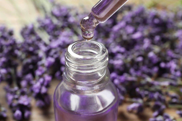 Lavanda por Shutterstock