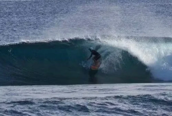 Surfista morto por tubarão teria gritado desesperado antes de ataque