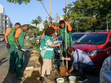 Imagem - Prefeitura de Salvador bate recorde e planta mais de 12 mil árvores em 2025