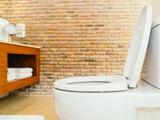 Imagem - Aprenda truque que recomenda jogar sal no vaso sanitário