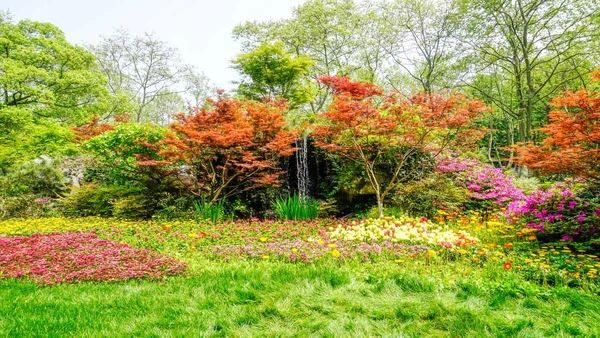 Descubra por que a abélia é a escolha inteligente para jardineiros que valorizam a beleza sem abrir mão da praticidade