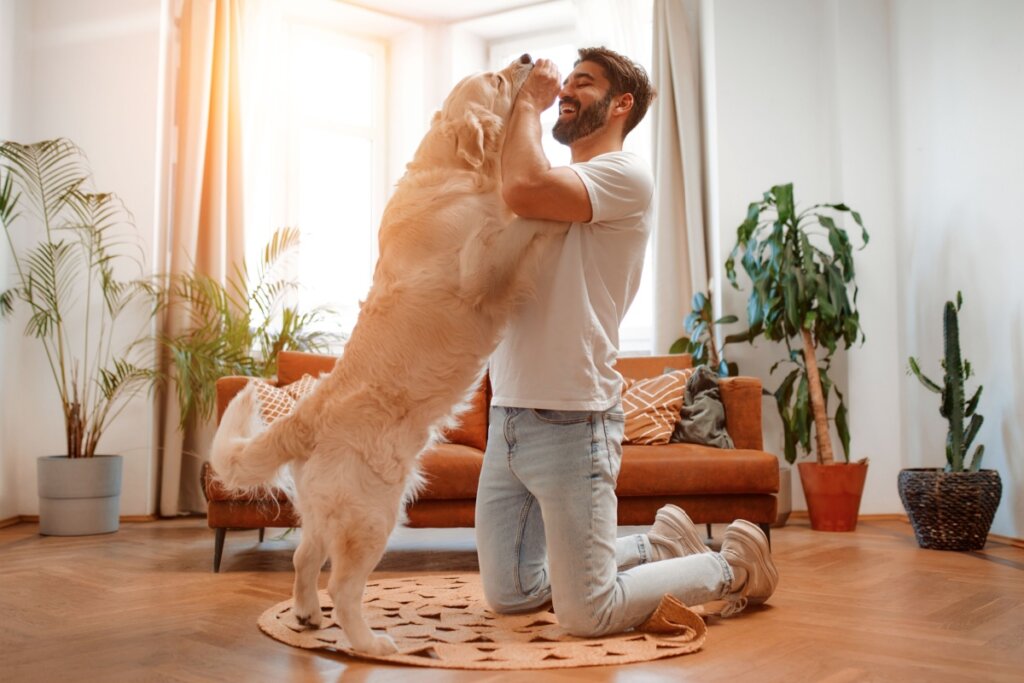O nome Pipoca é perfeito para cachorros que pulam de felicidade ao ver o tutor (Imagem: ORION PRODUCTION | Shutterstock)