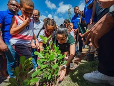 Imagem - Plano de Arborização prevê o plantio de mil mudas de espécies da Mata Atlântica em Lauro de Freitas