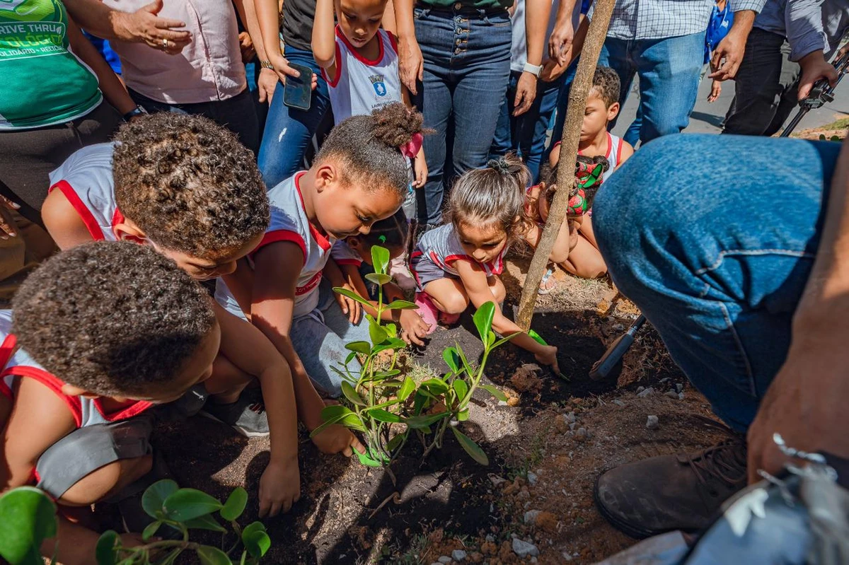 Plano de Arborização prevê o plantio de mil mudas de espécies da Mata Atlântica em Lauro de Freitas por Tiago Pacheco