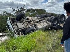 Imagem - Carreta tomba após motorista ser atacado por abelhas na Bahia