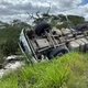 Imagem - Carreta tomba após motorista ser atacado por abelhas na Bahia