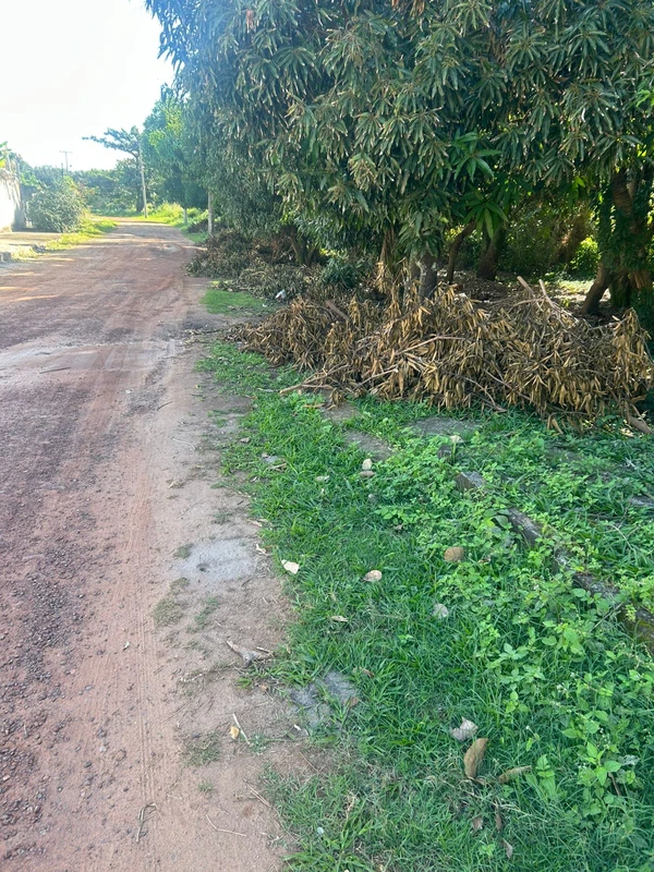 Loteamento Vale da Landirana, em Barra do Jacuípe por Arquivo pessoal