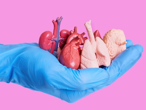 Imagem - Chega de desinformação: veja o que é mito e verdade sobre a doação de órgãos