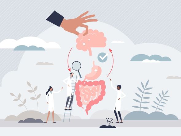 Imagem - Estresse pode resultar em problemas gastrointestinais; veja sintomas