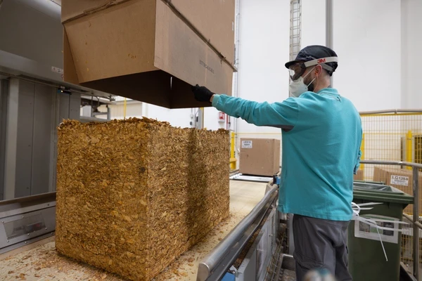 As folhas de tabaco são moídas até formar um pó fino