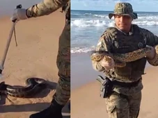 Imagem - Sucuri é resgatada em praia de Salvador; veja