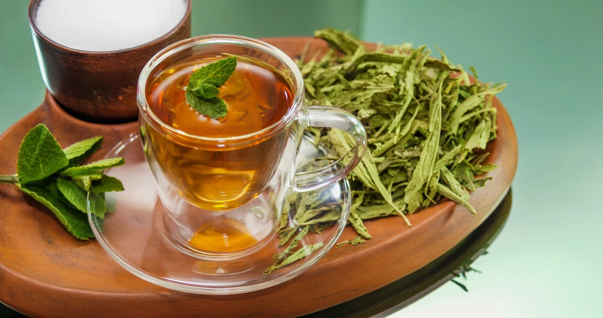 Chá-mate por Shutterstock